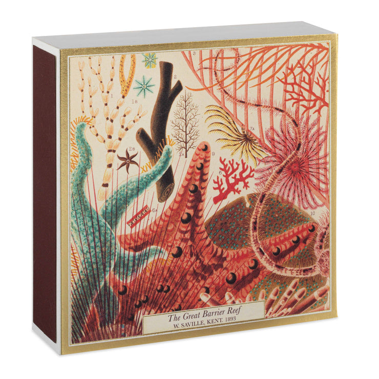 Coral & Reef Safety Matches