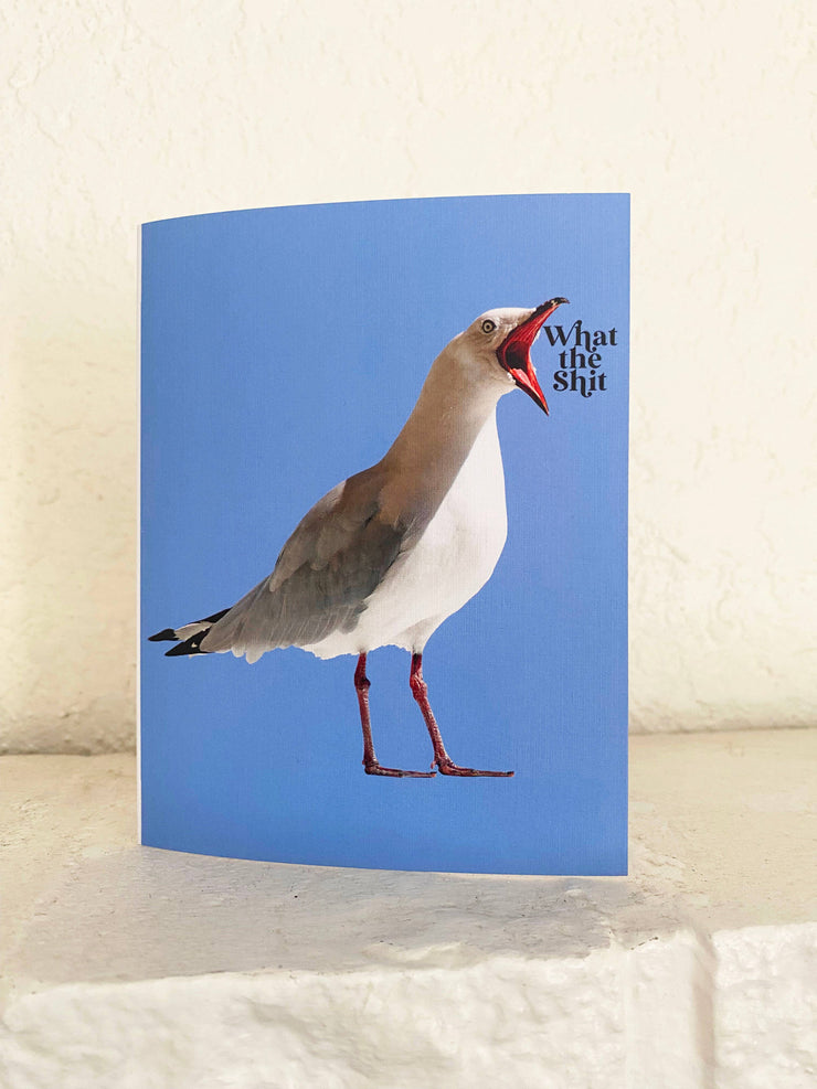 What the Shit Funny Seagull Card - Sympathy Birthday