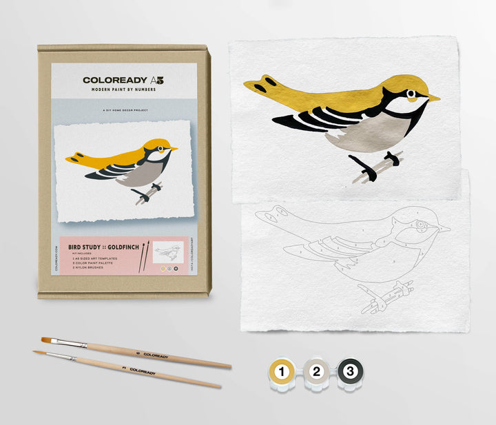 Bird Study: Goldfinch Modern Paint By Numbers Kit