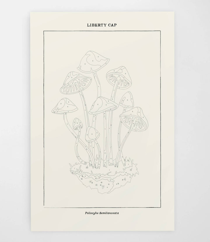 Mushroom Botanical | Modern Paint By Numbers Kit
