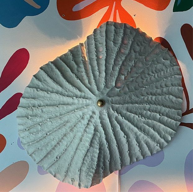 Limpet wall light