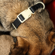 The Fritz Dog Collar | Black Tie White Sand - Bridal : Medium