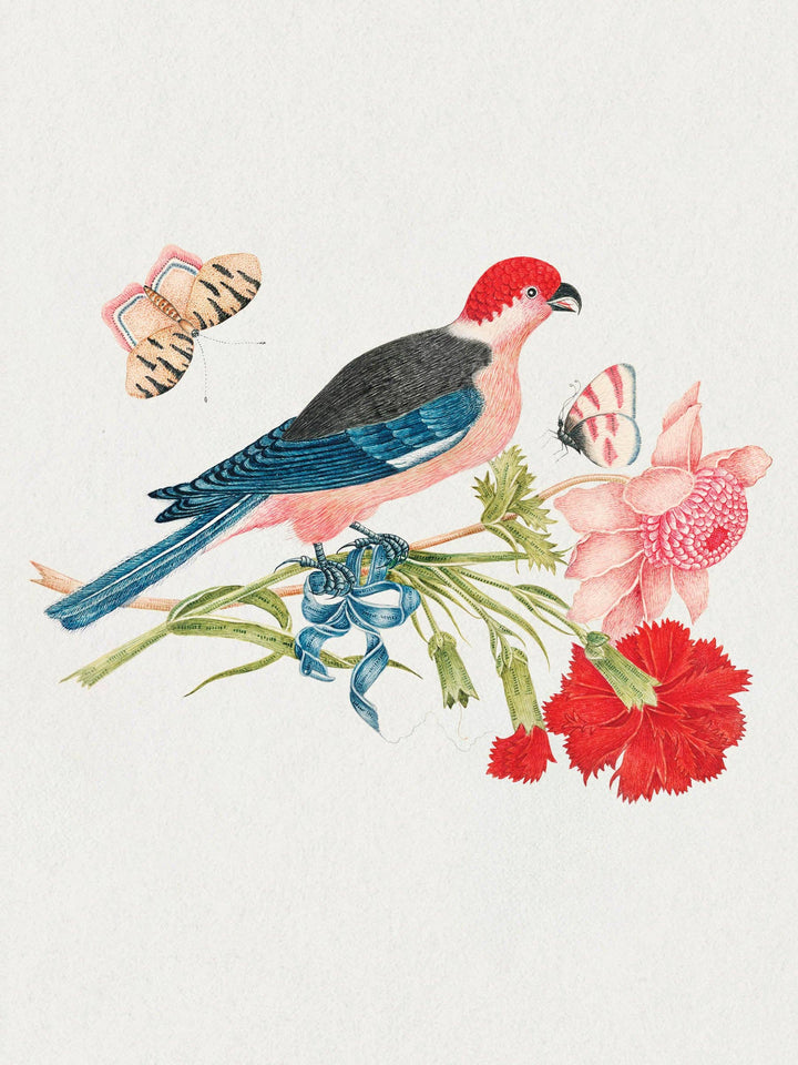 Flowers, Birds & Butterflies Celebrations Boxed Notecards