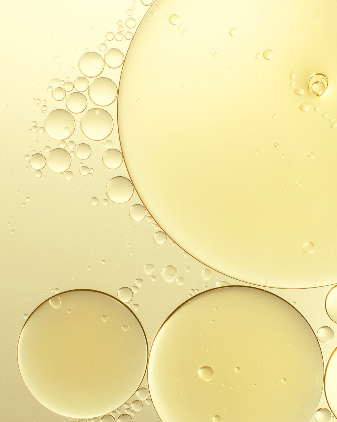 Bamboo - Reed Diffuser, 6 oz