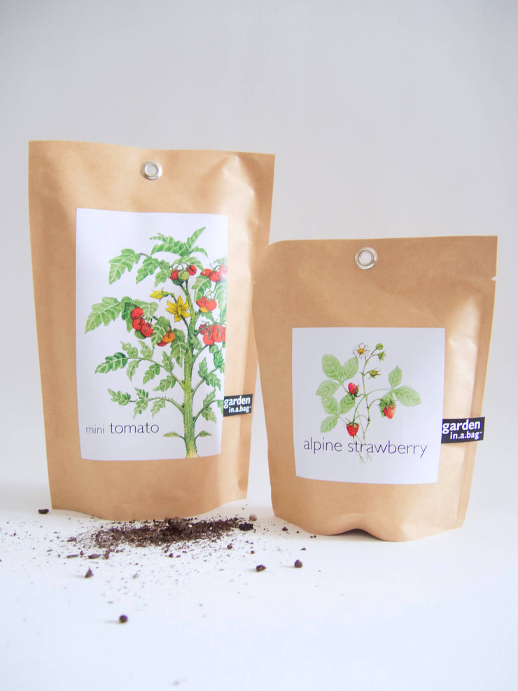 "Get Growing" Mindful Garden in a Bag Kit: Basil