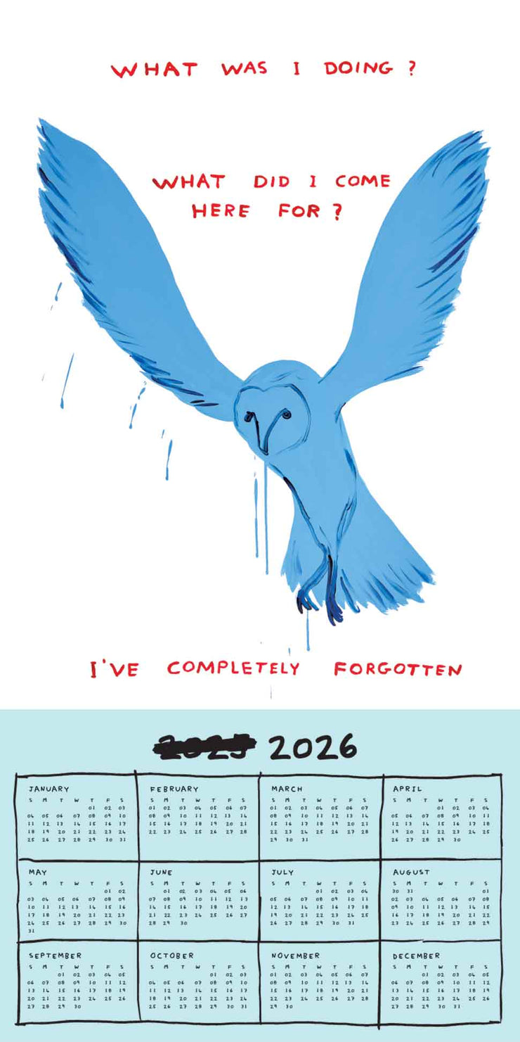 David Shrigley 2025 Calendar