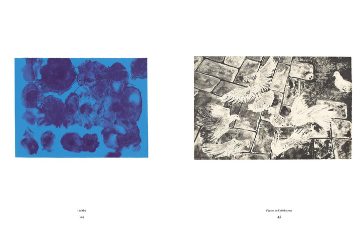 Ruth Awawa: The Tamarind Prints