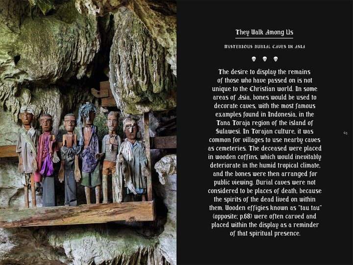 Memento Mori: The Dead Among Us