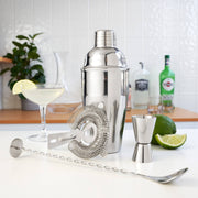 Stainless Steel Barware Set of 4 ASSORTED COLORS
