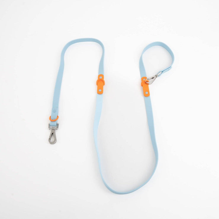 The Fritz Dog Leash | Leash wit Handle | Multi Dog Leash: Baby blue red / Standard