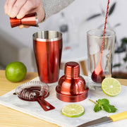 Stainless Steel Barware Set of 4 ASSORTED COLORS