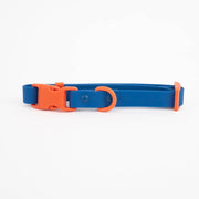 The Fritz Dog Collar : Blue orange / Small