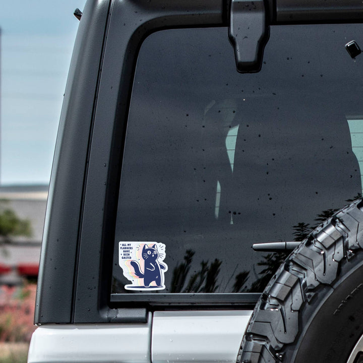 Funny Cute Kitty Cat Sarcastic High Quality Vinyl Sticker