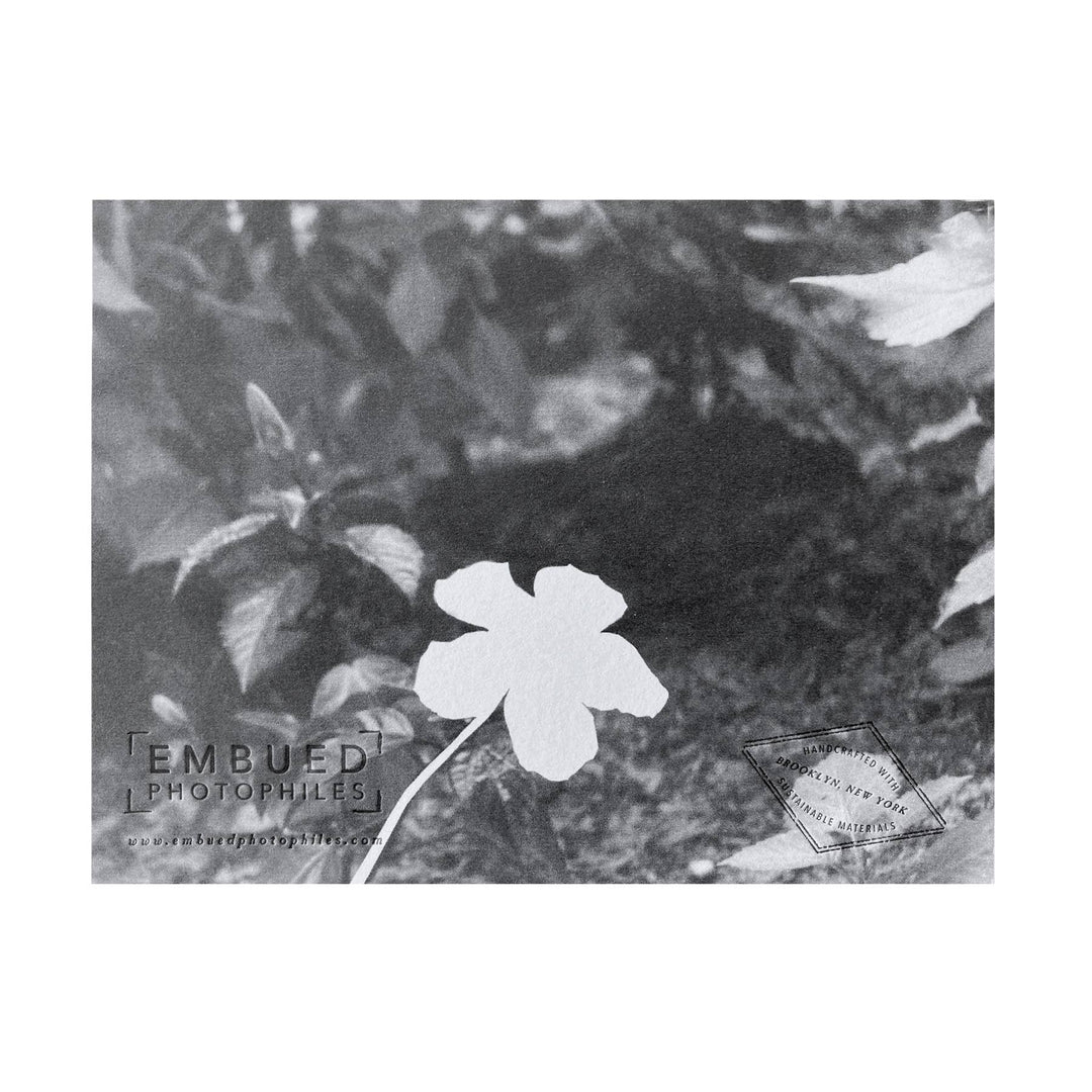 Hibiscus Thank You Card