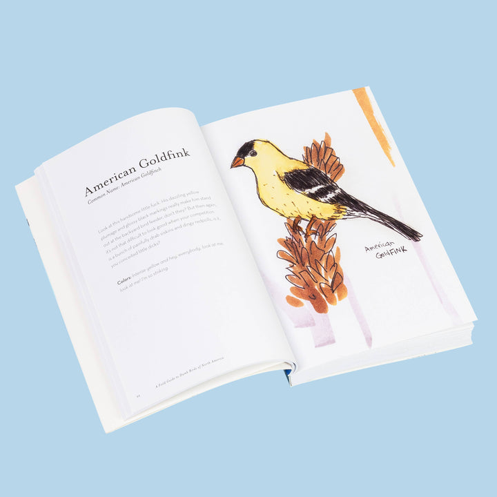 The Field Guide to Dumb Birds of North America