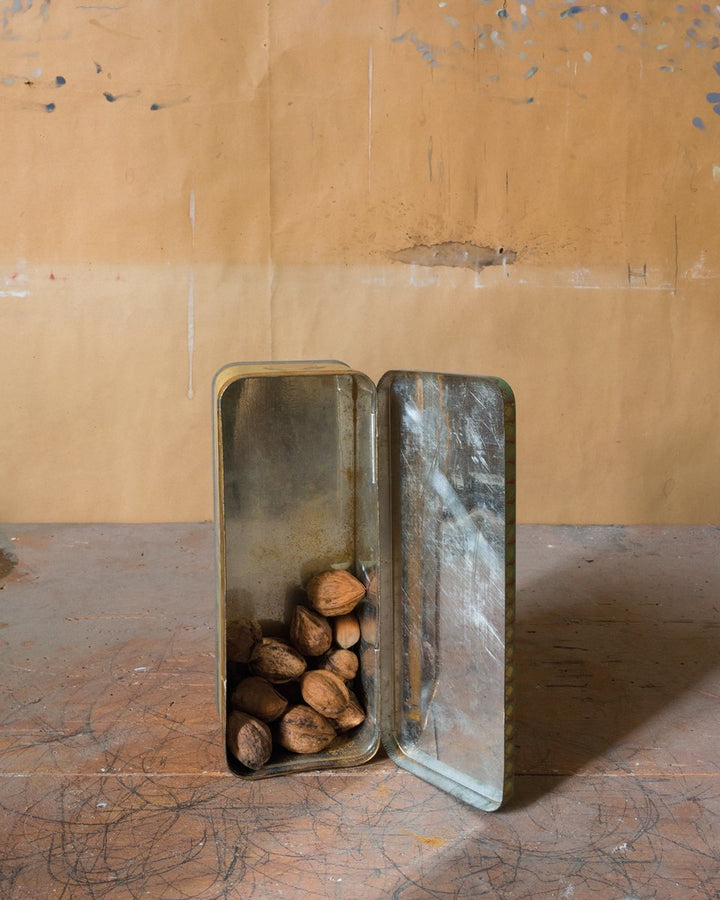 Joel Meyerowitz: Morandi's Objects