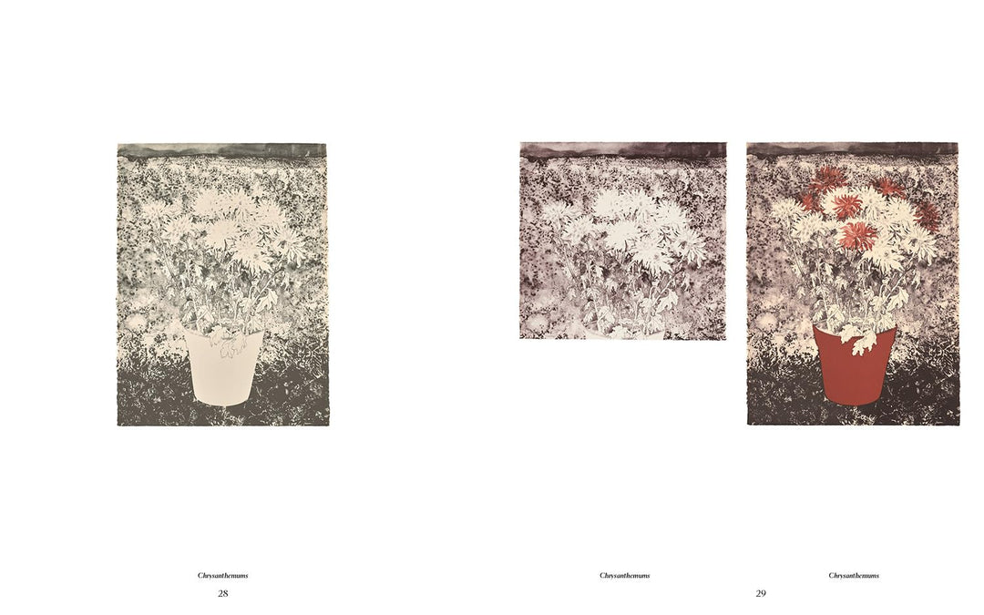 Ruth Awawa: The Tamarind Prints