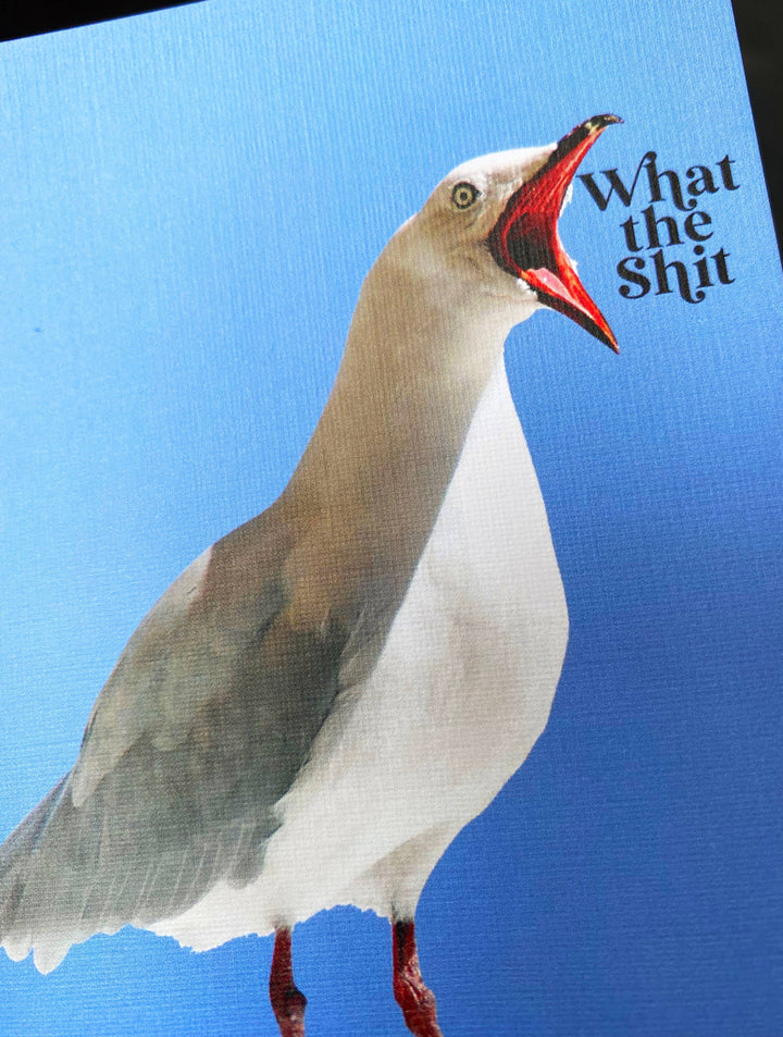 What the Shit Funny Seagull Card - Sympathy Birthday