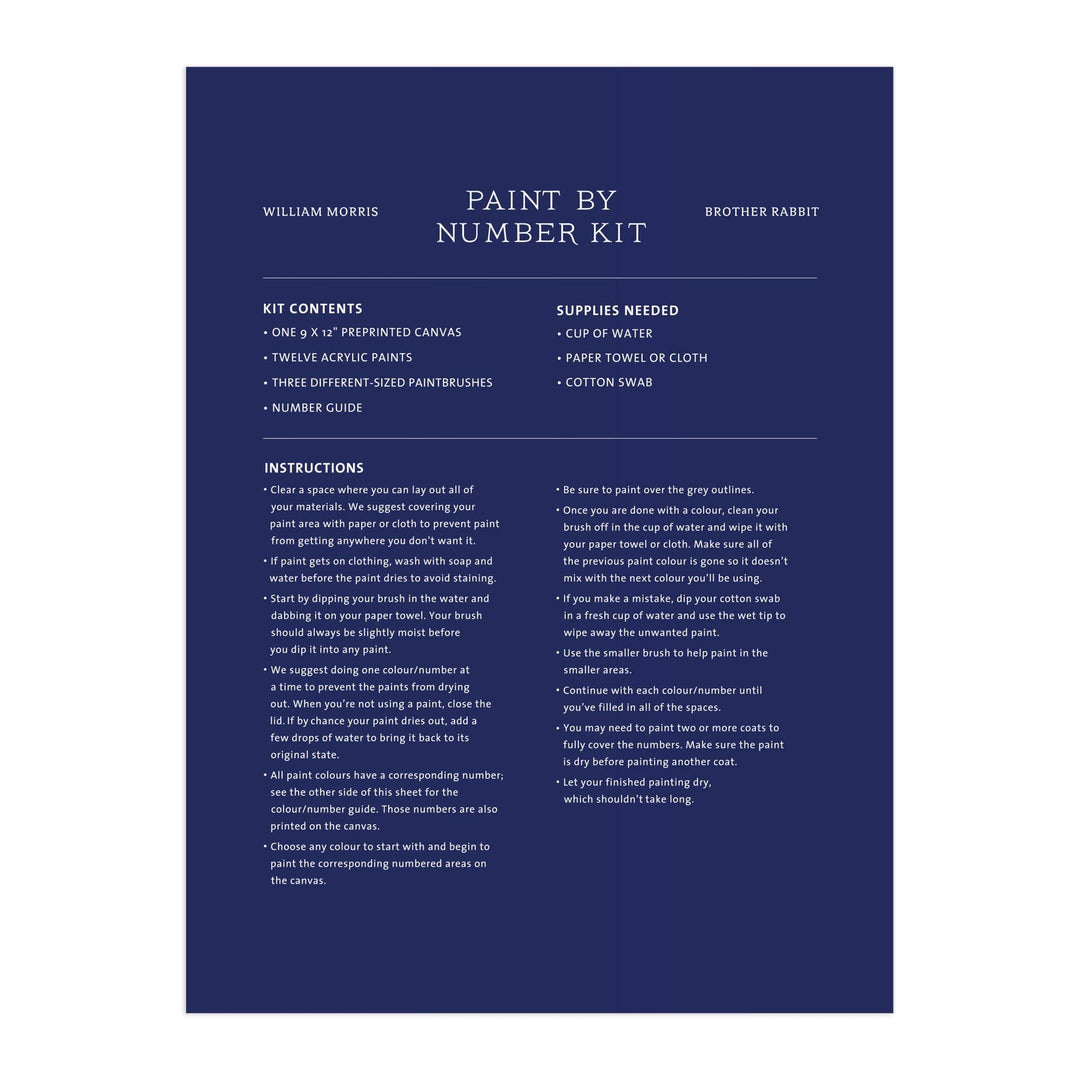 William Morris Brother Rabbit 9 x 12" Paint by Number Kit