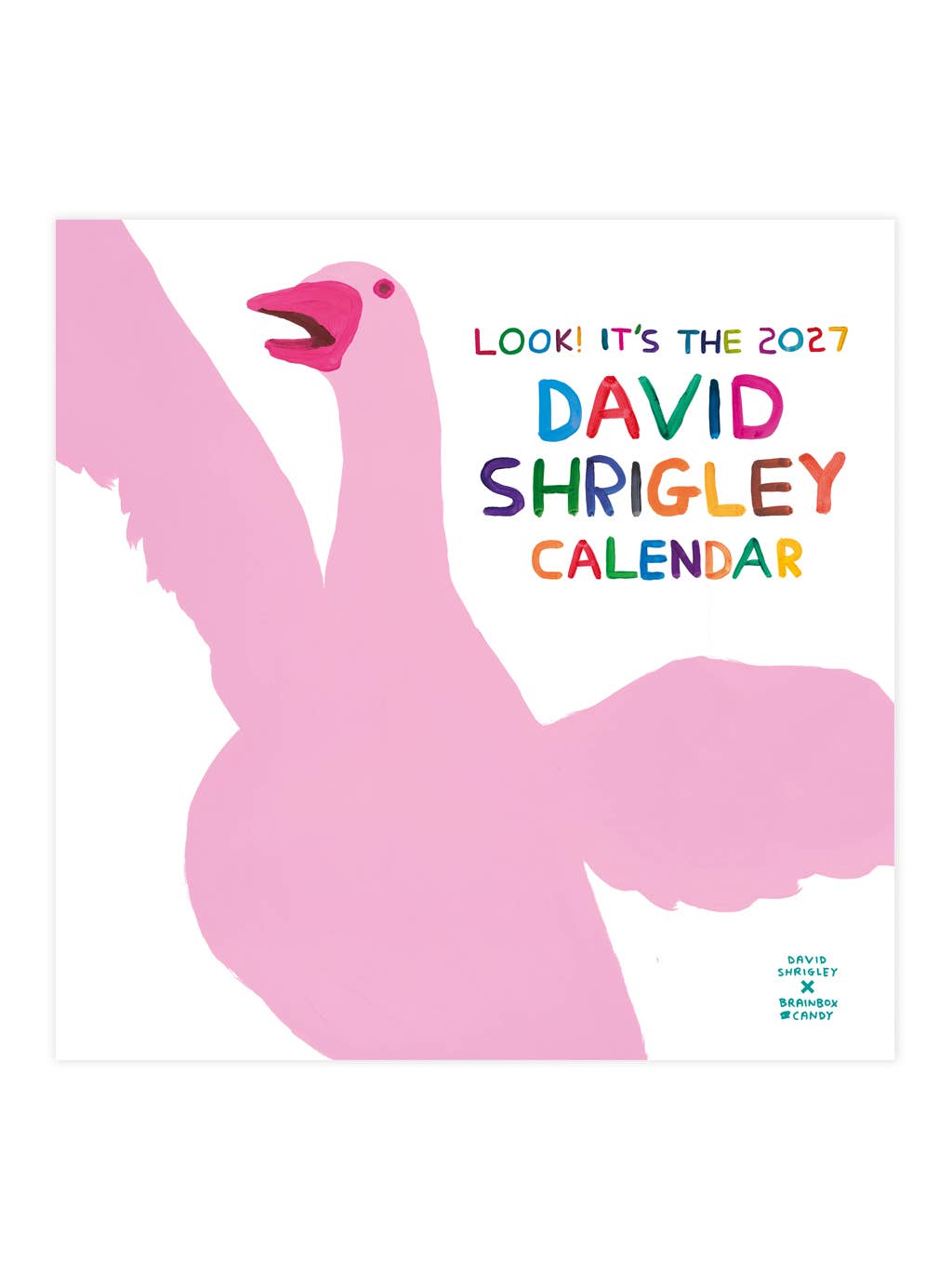 David Shrigley Official 2027 Wall Calendar
