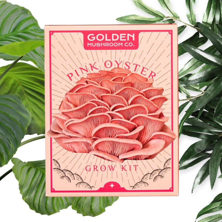 Pink Oyster Mushroom Grow Kit