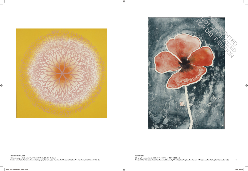 Ruth Asawa: Retrospective