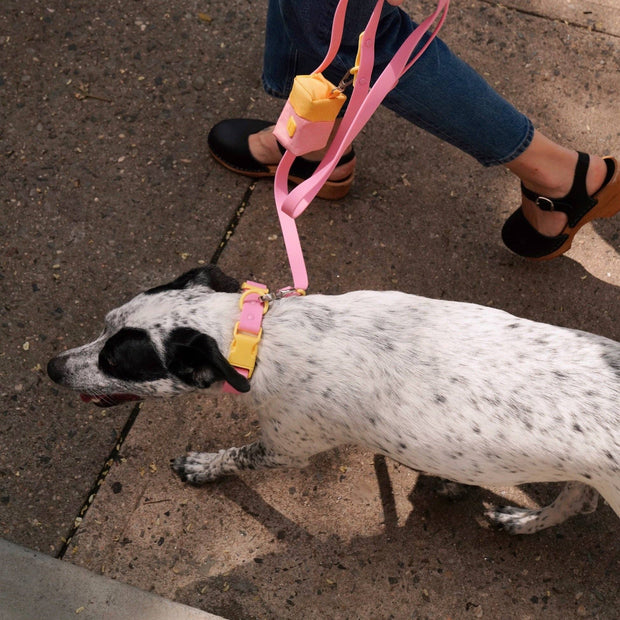 The Fritz Dog Leash | Leash wit Handle | Multi Dog Leash: Lilac grey / Standard