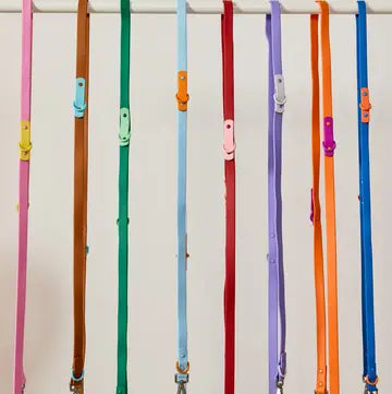 The Fritz Dog Leash with Handle : Standard