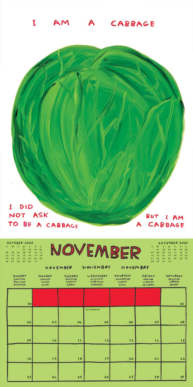 David Shrigley 2025 Calendar