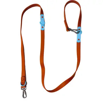 The Fritz Dog Leash with Handle : Standard