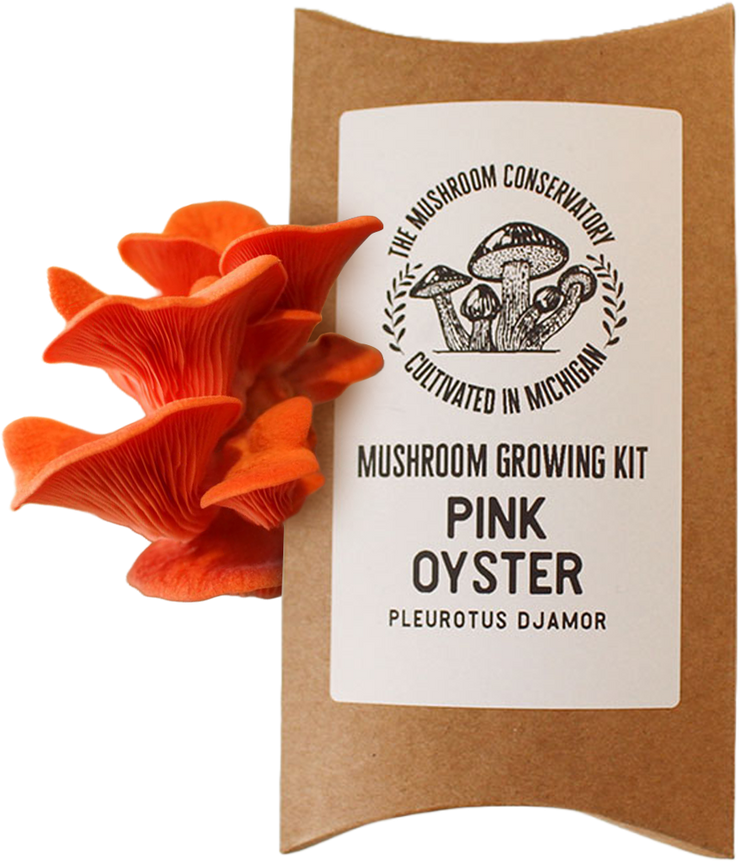 Pink Oyster Mushroom Growing Kit: As seen in Farmers Almanac