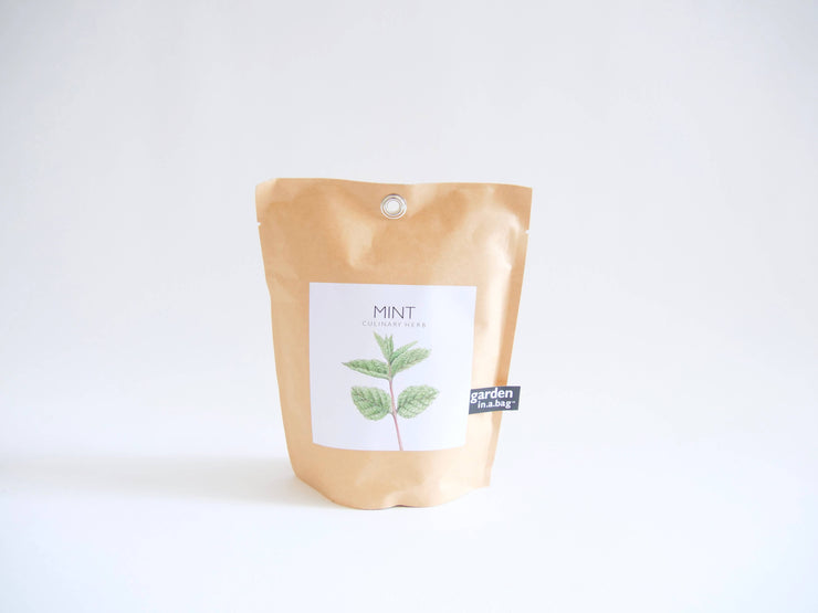 "Get Growing" Mindful Garden in a Bag Kit: Basil