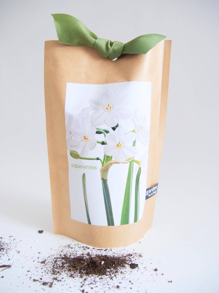 "Get Growing" Mindful Garden in a Bag Kit: Basil