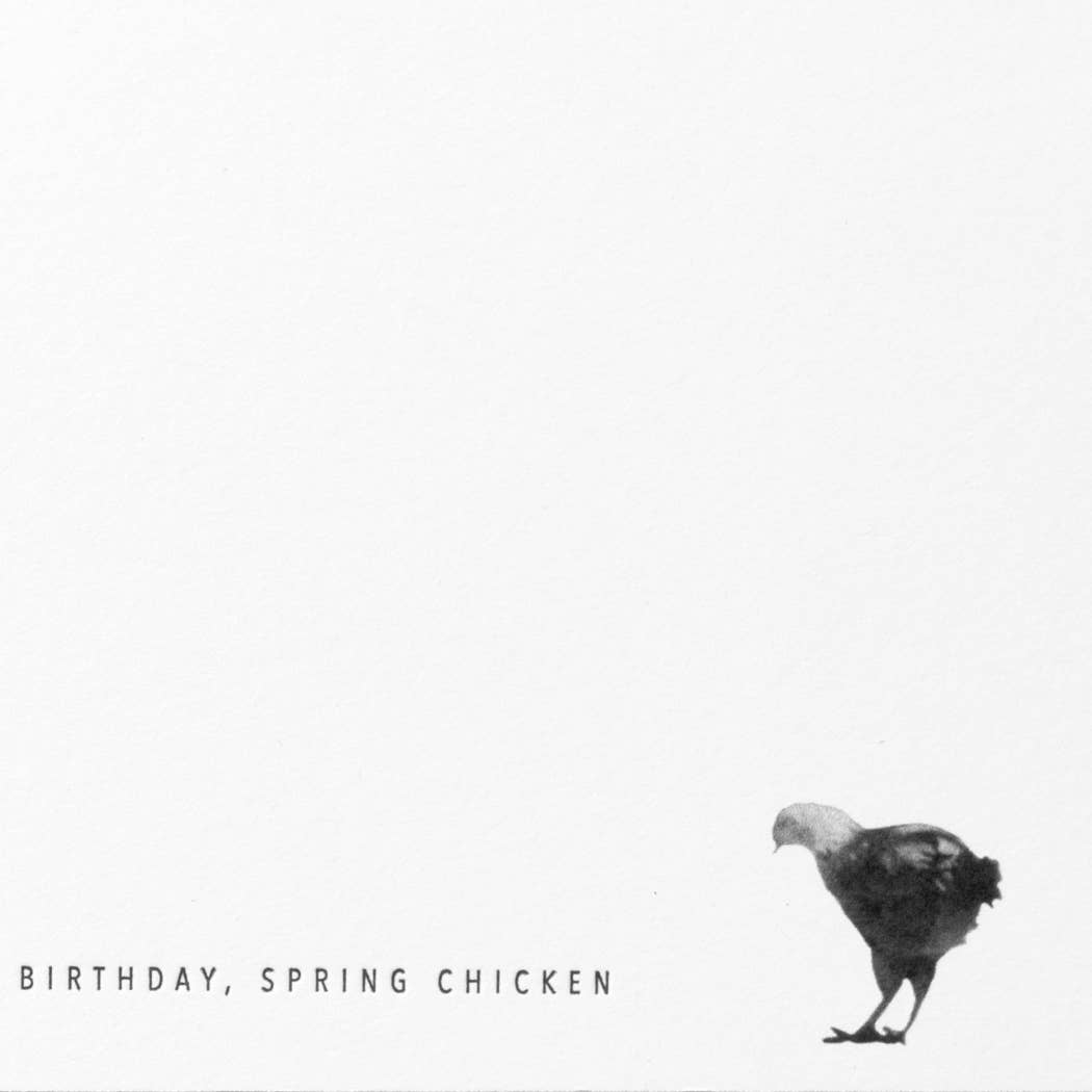 Chicken Happy Birthday, Spring Chicken Card