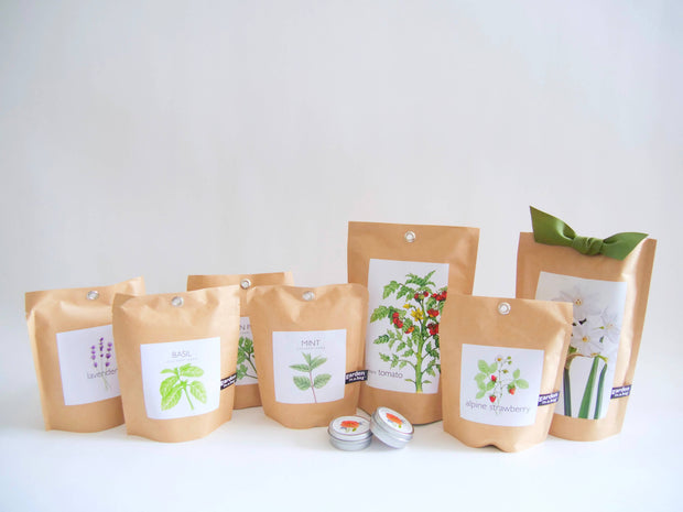 "Get Growing" Mindful Garden in a Bag Kit: Italian Parsley