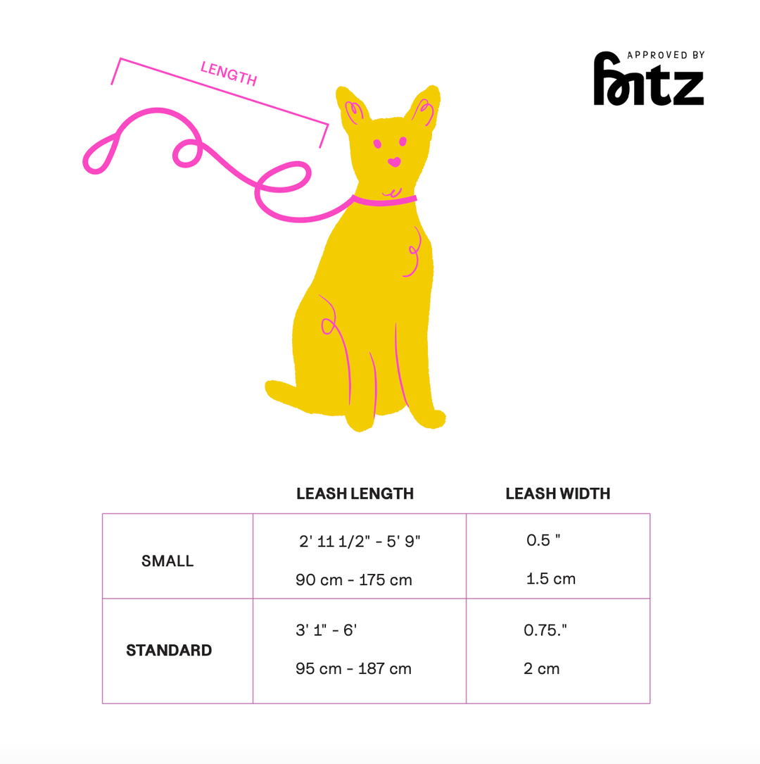 The Fritz Leash: Blue/Orange-Standard