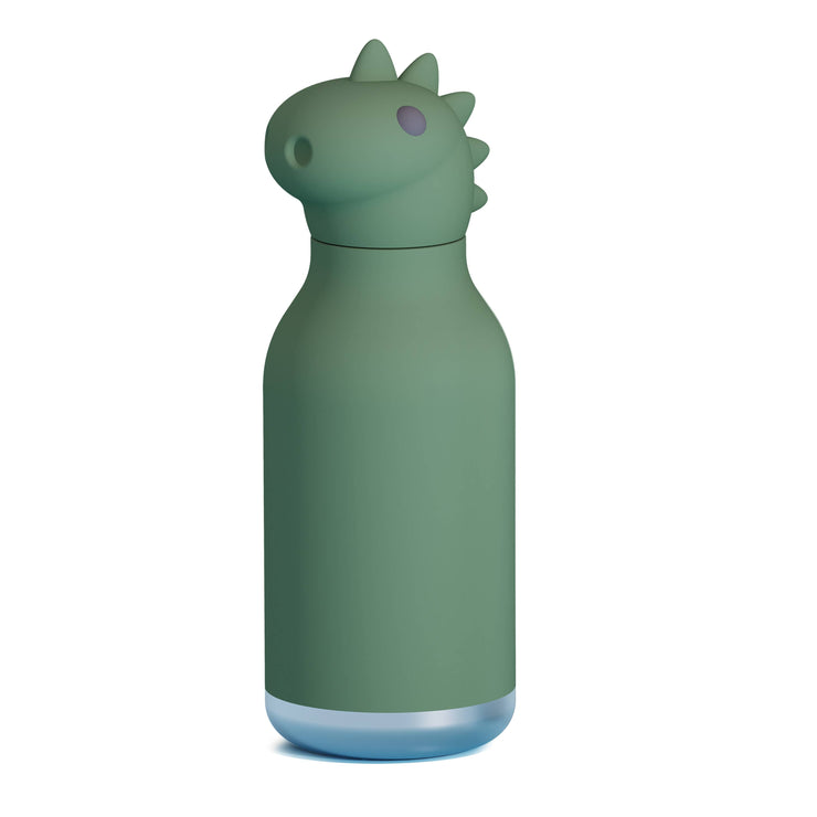 Bestie Water Bottle: Dinosaur