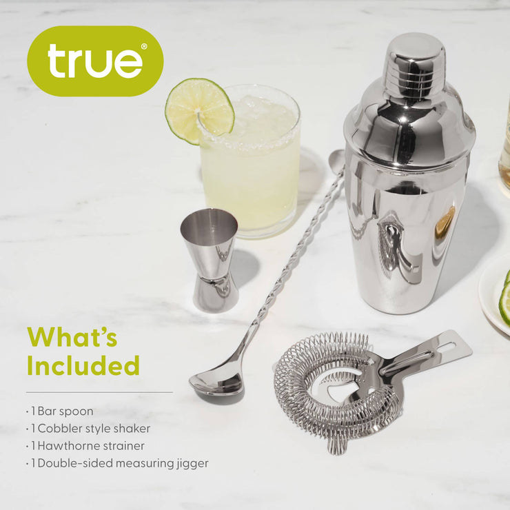 Stainless Steel Barware Set of 4 ASSORTED COLORS