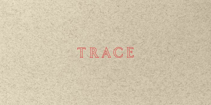 Jenny Holzer: Trace