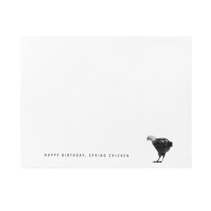 Chicken Happy Birthday, Spring Chicken Card