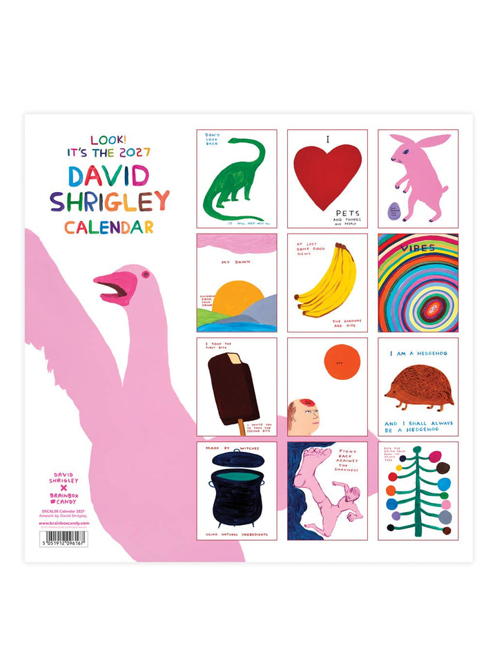 David Shrigley Official 2027 Wall Calendar