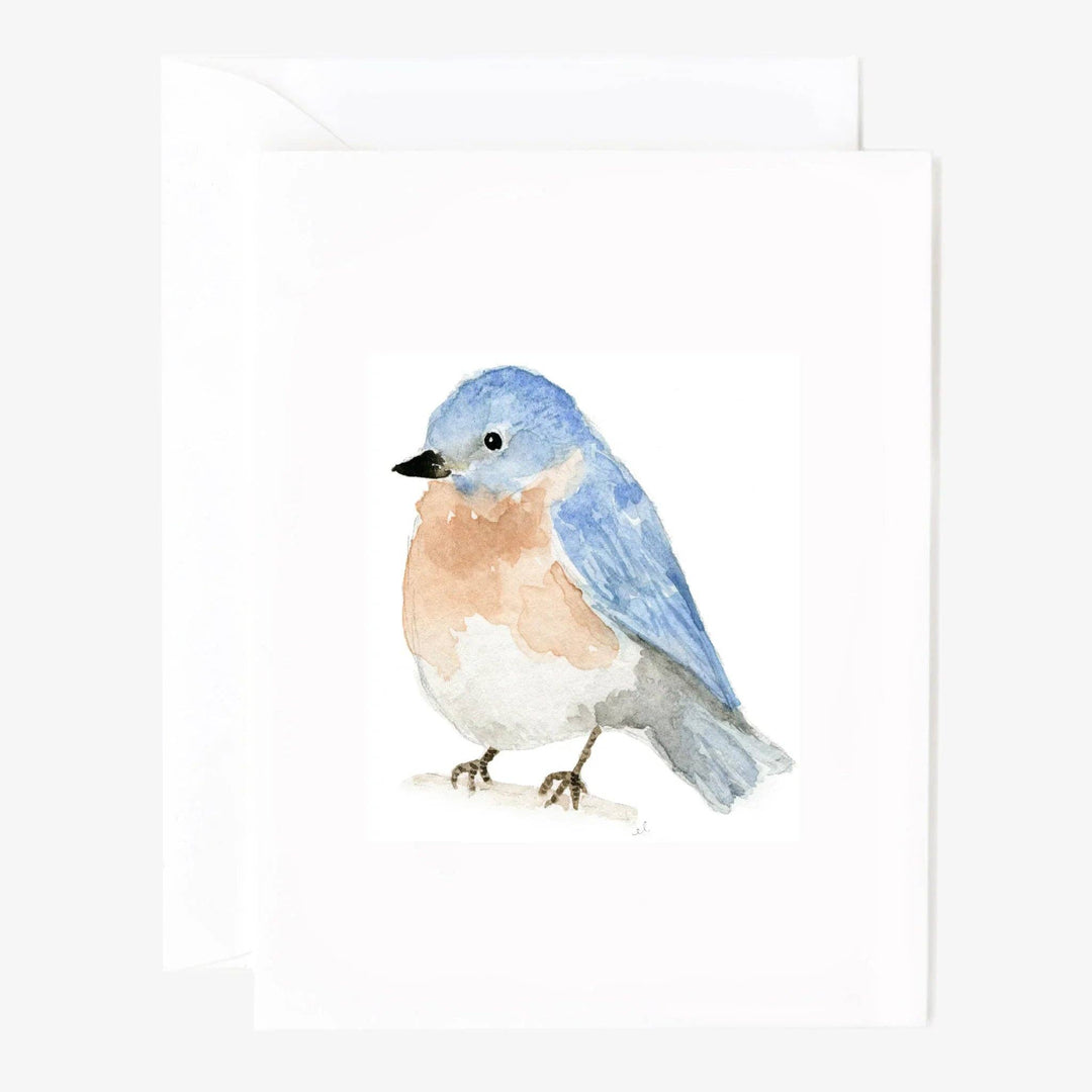 Birds assorted notecard set