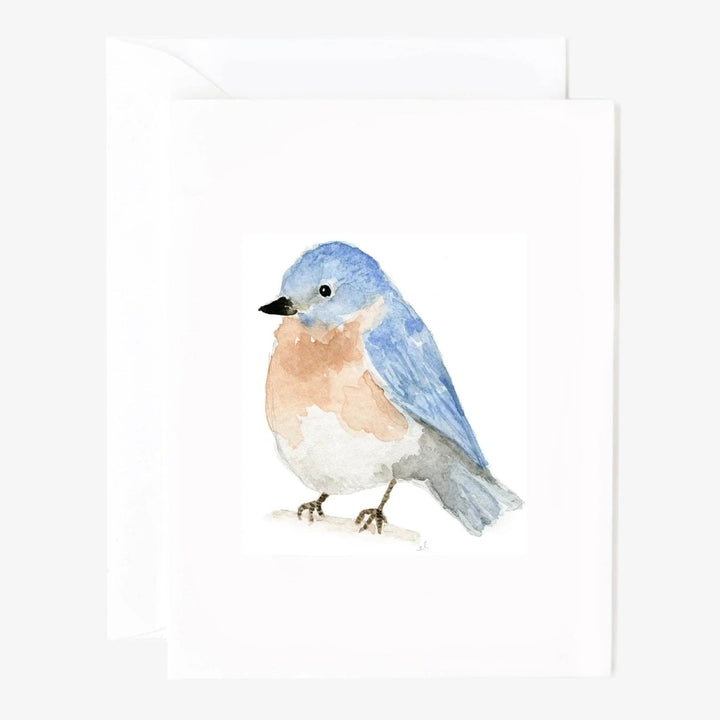 Birds assorted notecard set