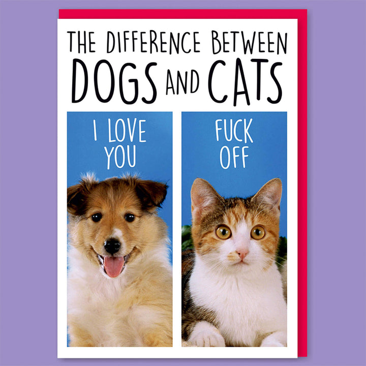 Difference Between Dogs and Cats Greeting Card
