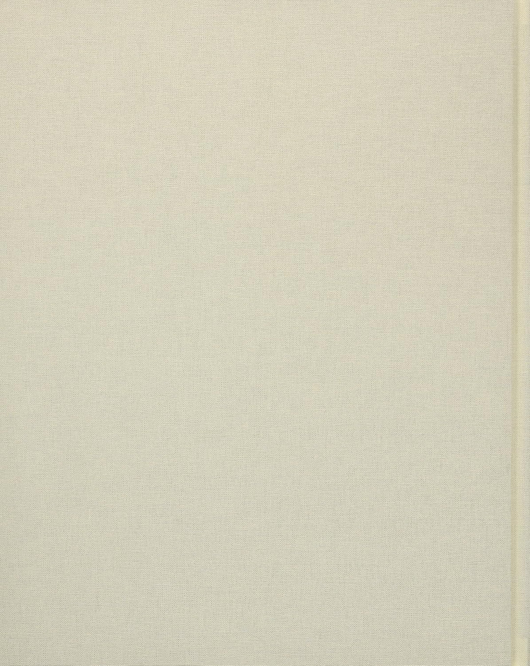 Joel Meyerowitz: Morandi's Objects