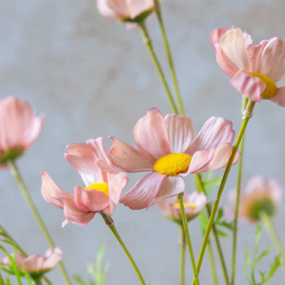 Artificial Cosmos Meadow, Soft Pink
