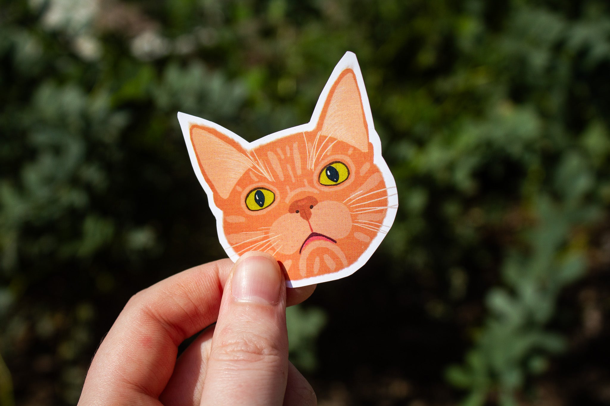 Cornelius the Cat Sticker – A.MANO Brooklyn