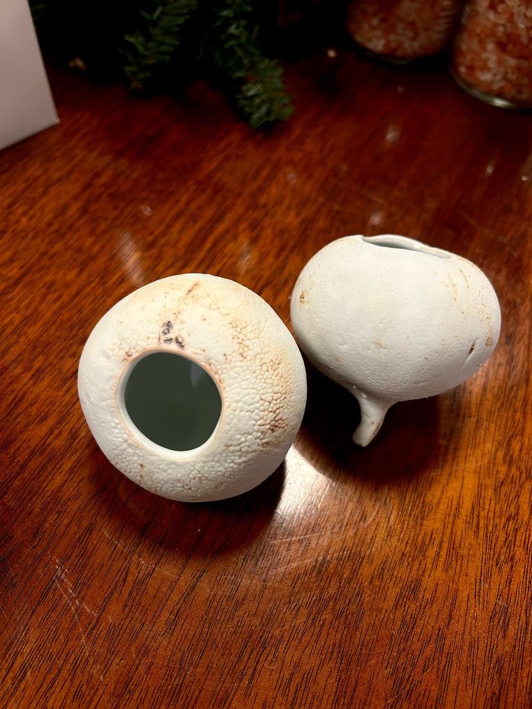 Radish Vase