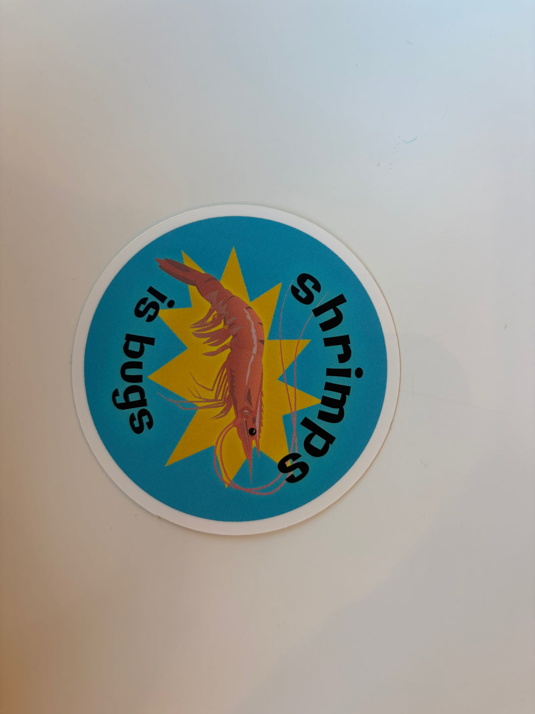 SHRIMPS IS BUGS