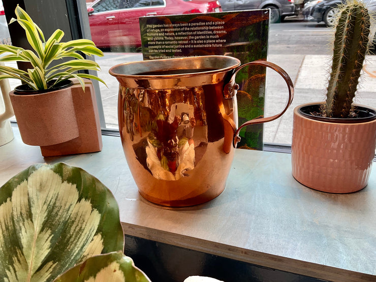 Copper Pitcher Planter